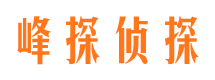 陵县出轨调查